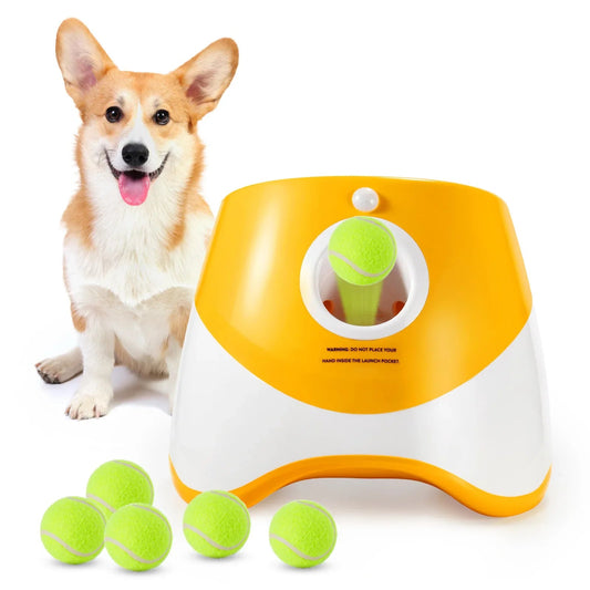 Lanceur de balle automatique pour Chien