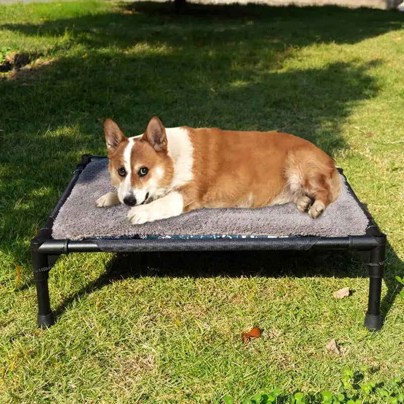 Lit pour Chien Surélevé + Coussin confortable