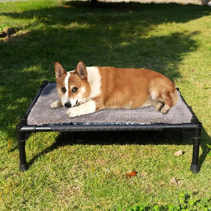 Lit pour Chien Surélevé + Coussin confortable