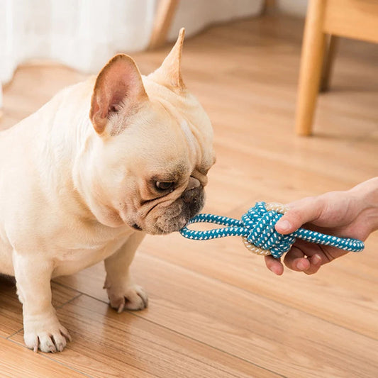 Mini-Balle pour Chien