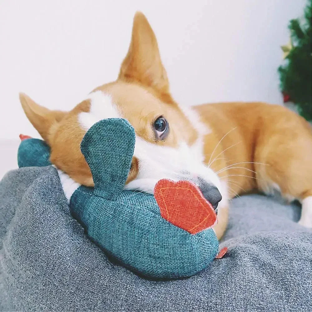 Peluche oie à mâcher pour Chien