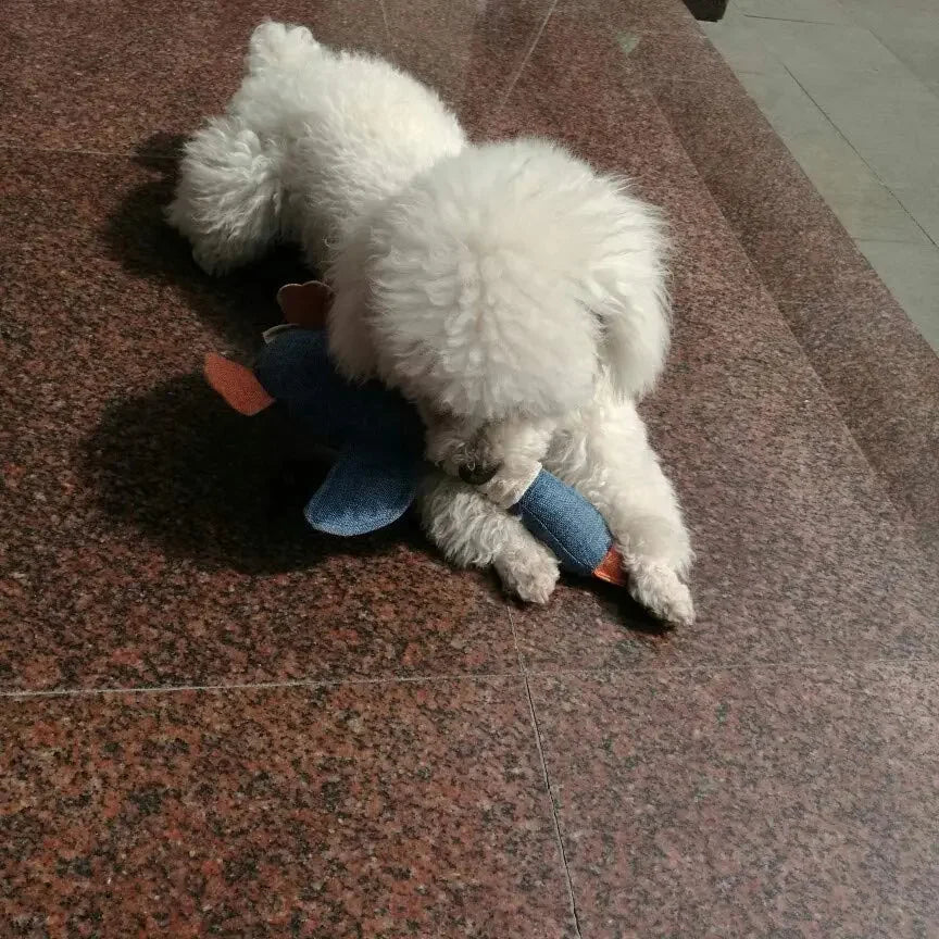 Peluche oie à mâcher pour Chien