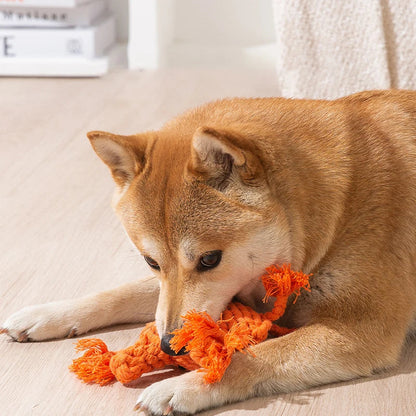 Peluche pour Chien en Corde