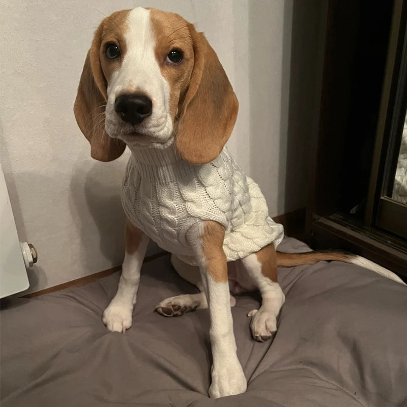 Pull Chaud Tricoté pour Petit Chien