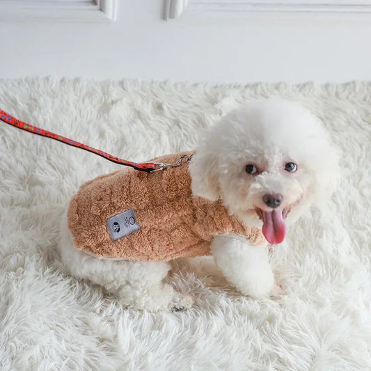 Pull en laine pour Petit Chien