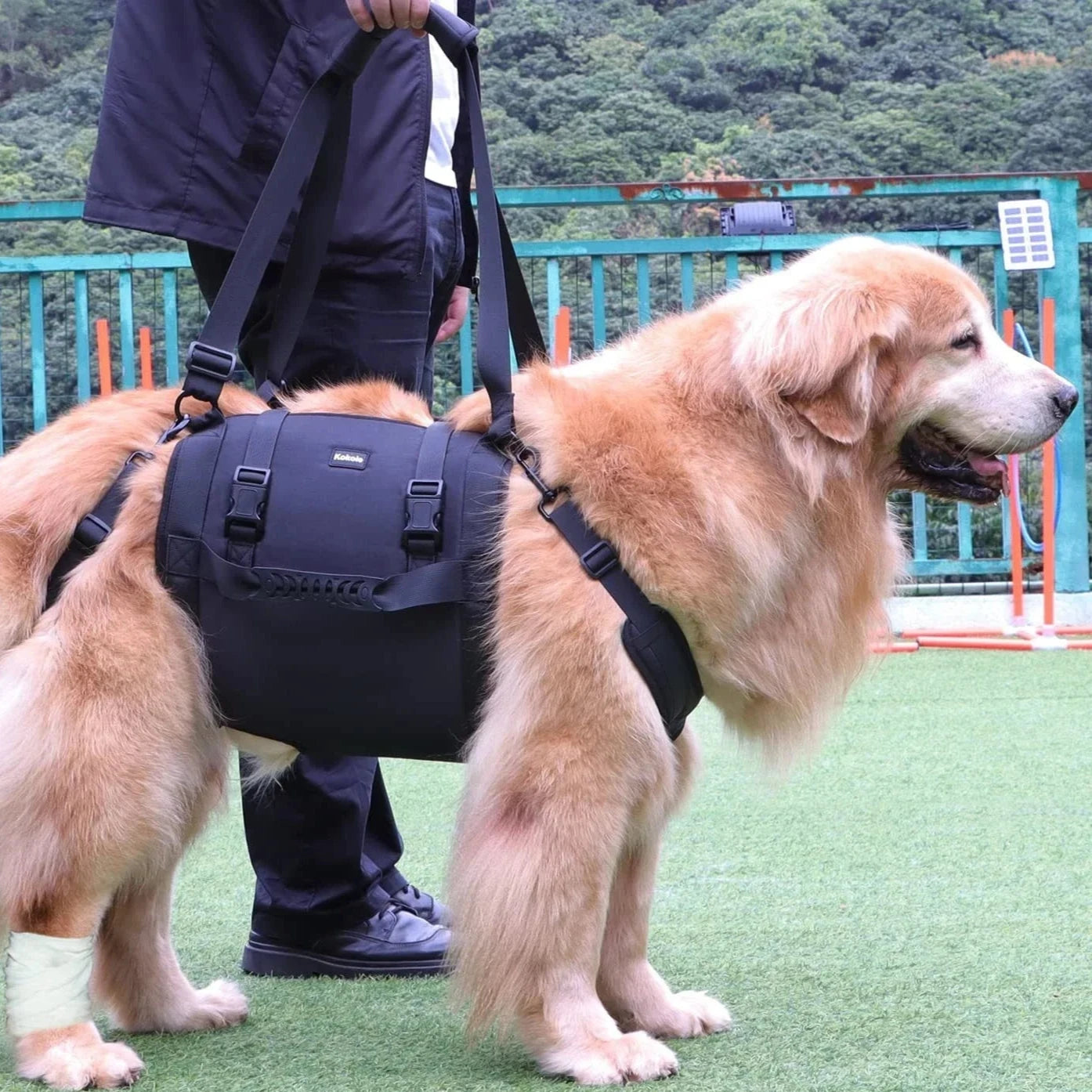 Sac à Dos Bandoulière Chien 15kg