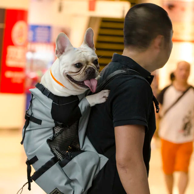 Sac à Dos Réglable pour Chien 15kg