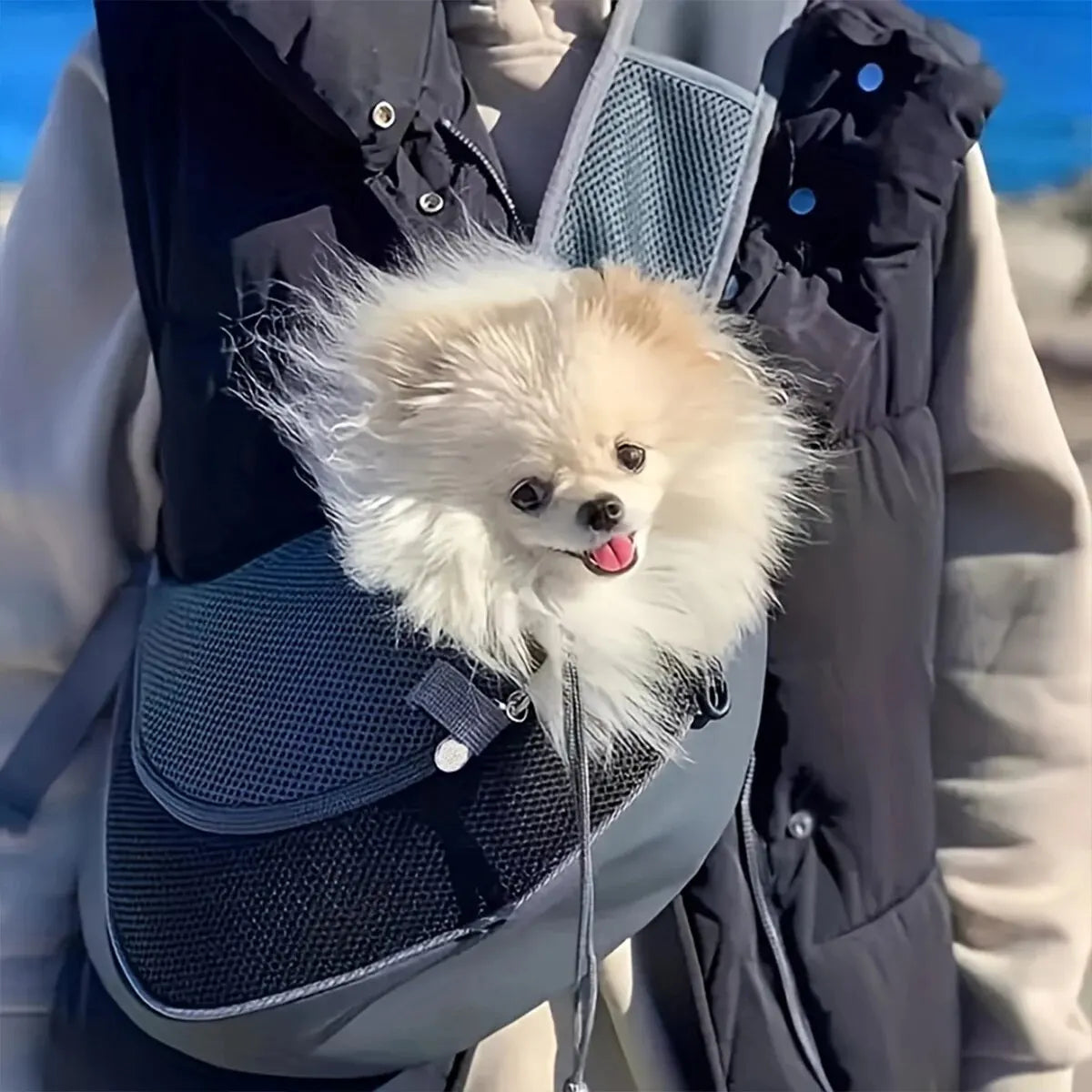 Sac à Dos en Maile Petit Chien