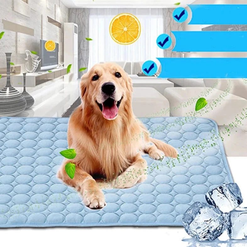 Tapis Absorbant et Rafraichissant pour Chien