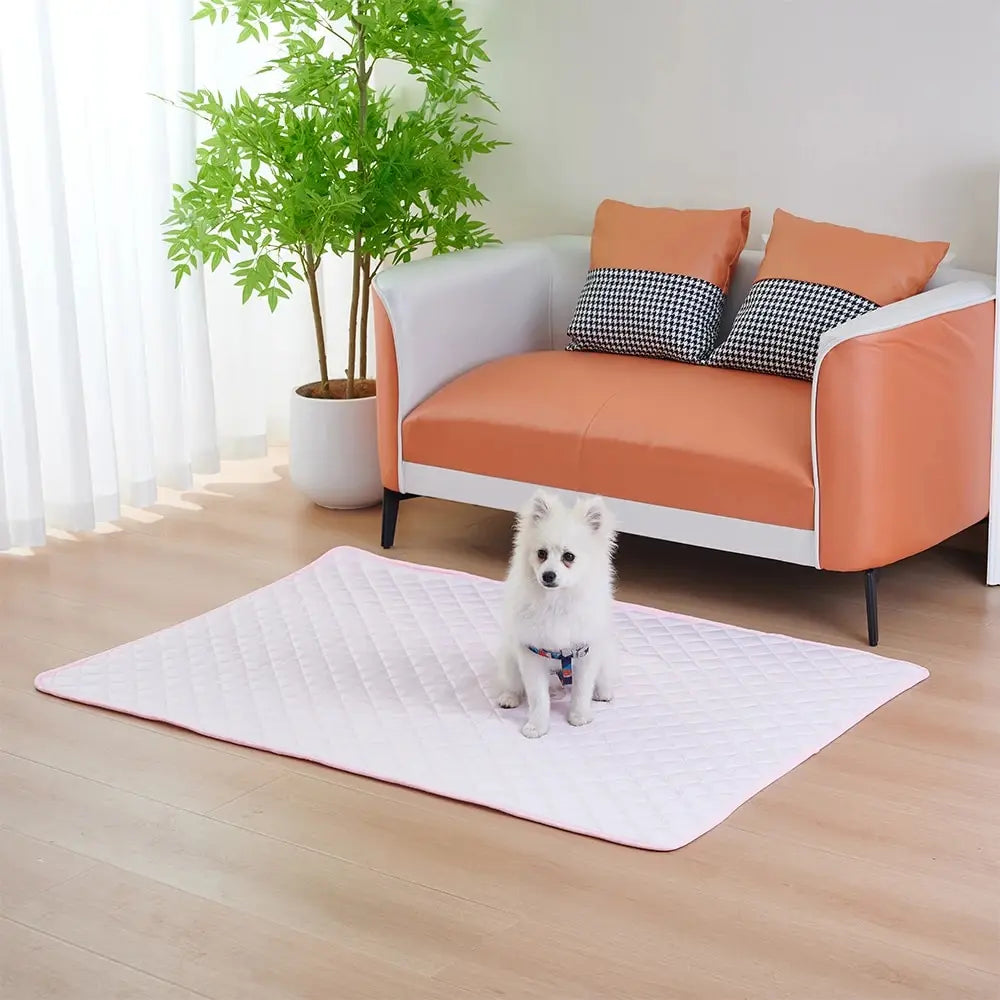 Tapis Rafraichissant et Confortable pour Chien