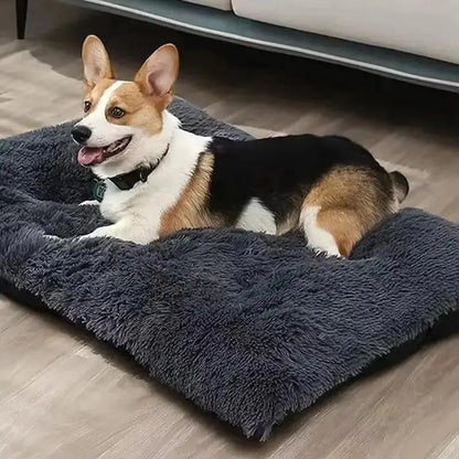 Tapis XXL Lavable pour Chien