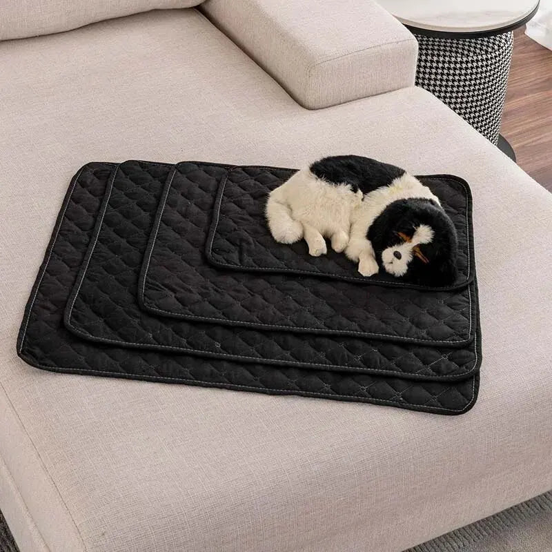 Tapis absorbant pour Chien