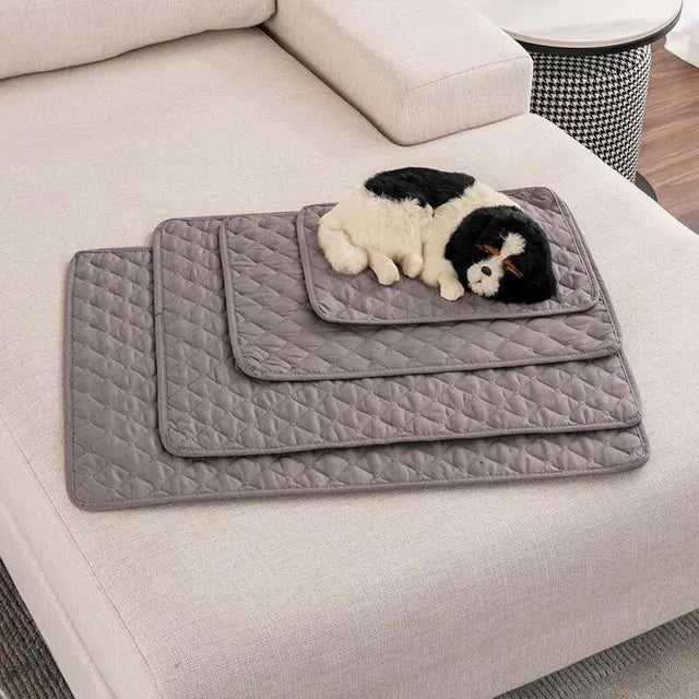 Tapis absorbant pour Chien