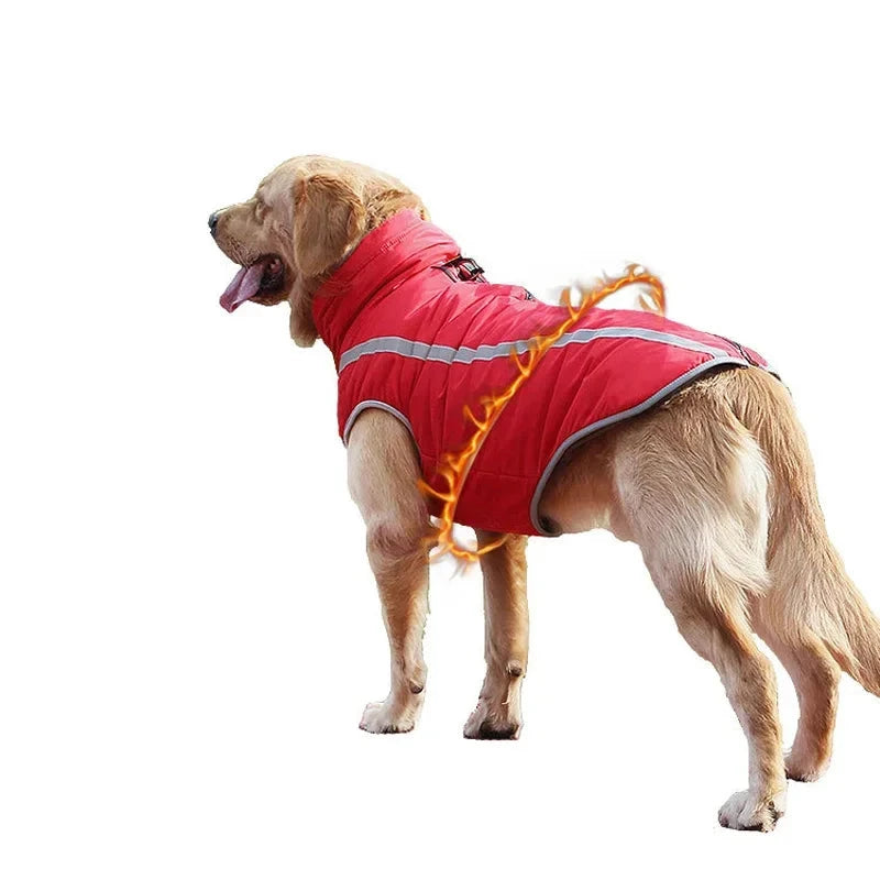 Veste Imperméables pour grands chiens