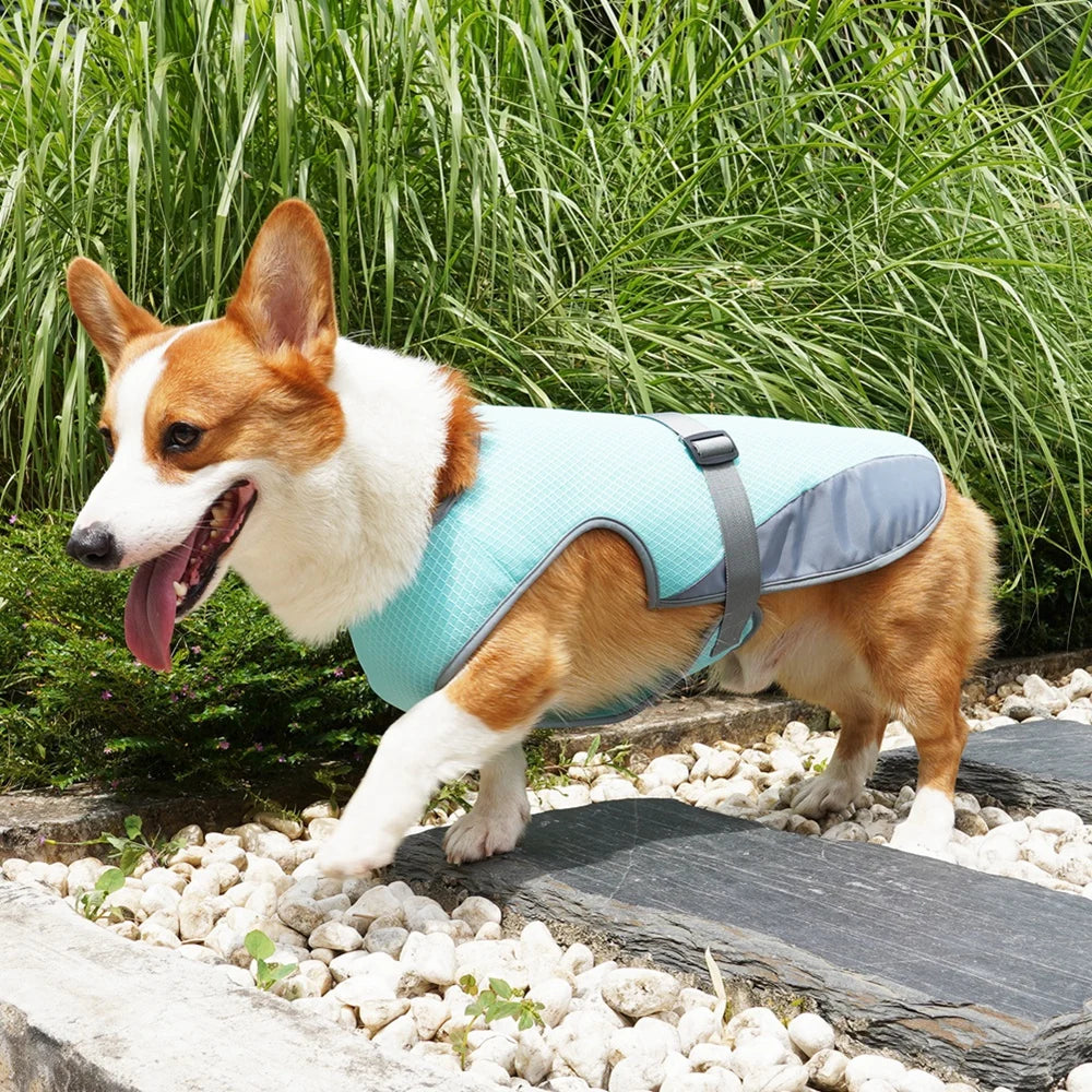 Veste rafraîchissante pour Petit Chien