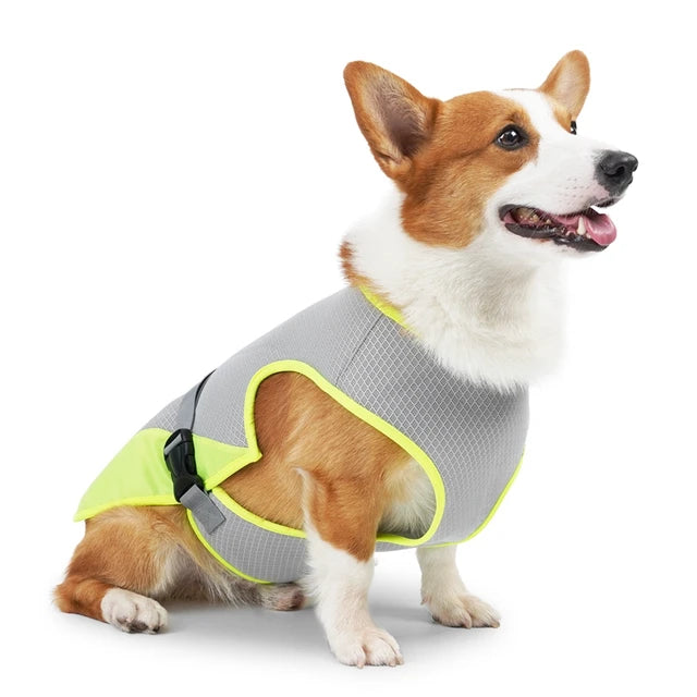 Veste rafraîchissante pour Petit Chien