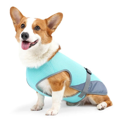 Veste rafraîchissante pour Petit Chien