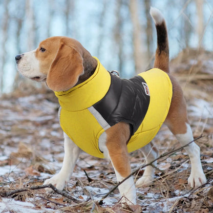 Veste rembourrée imperméable pour Chien