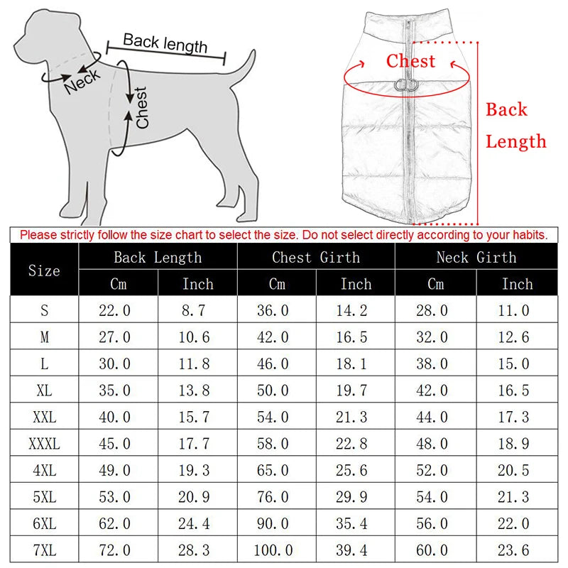 Vêtements d'hiver imperméables pour Grand Chien