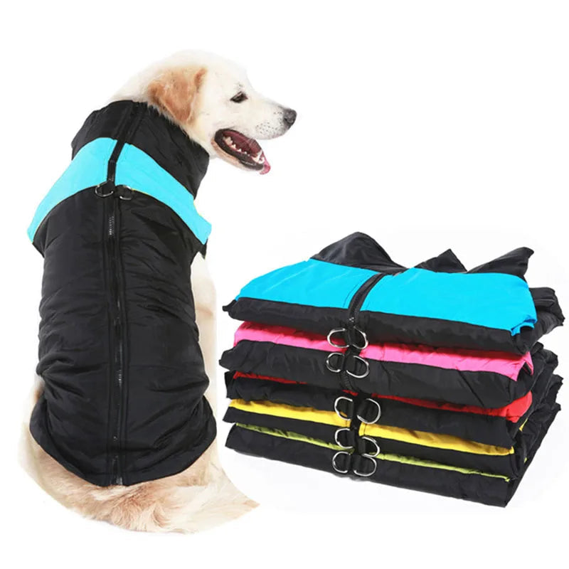 Vêtements d'hiver imperméables pour Grand Chien